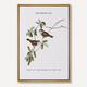 Birds of the Air