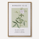 Joyful Hope - Romans 12:12