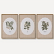 Gingham Botanical Trio