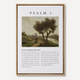 Psalm 1 - The Way of the Righteous
