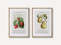 Decorate your home with this beautiful Christian wall art set. This collection of two framed botanical prints features detailed illustrations of fruit, paired with powerful verses on the Fruit of the Spirit and bearing spiritual fruit.